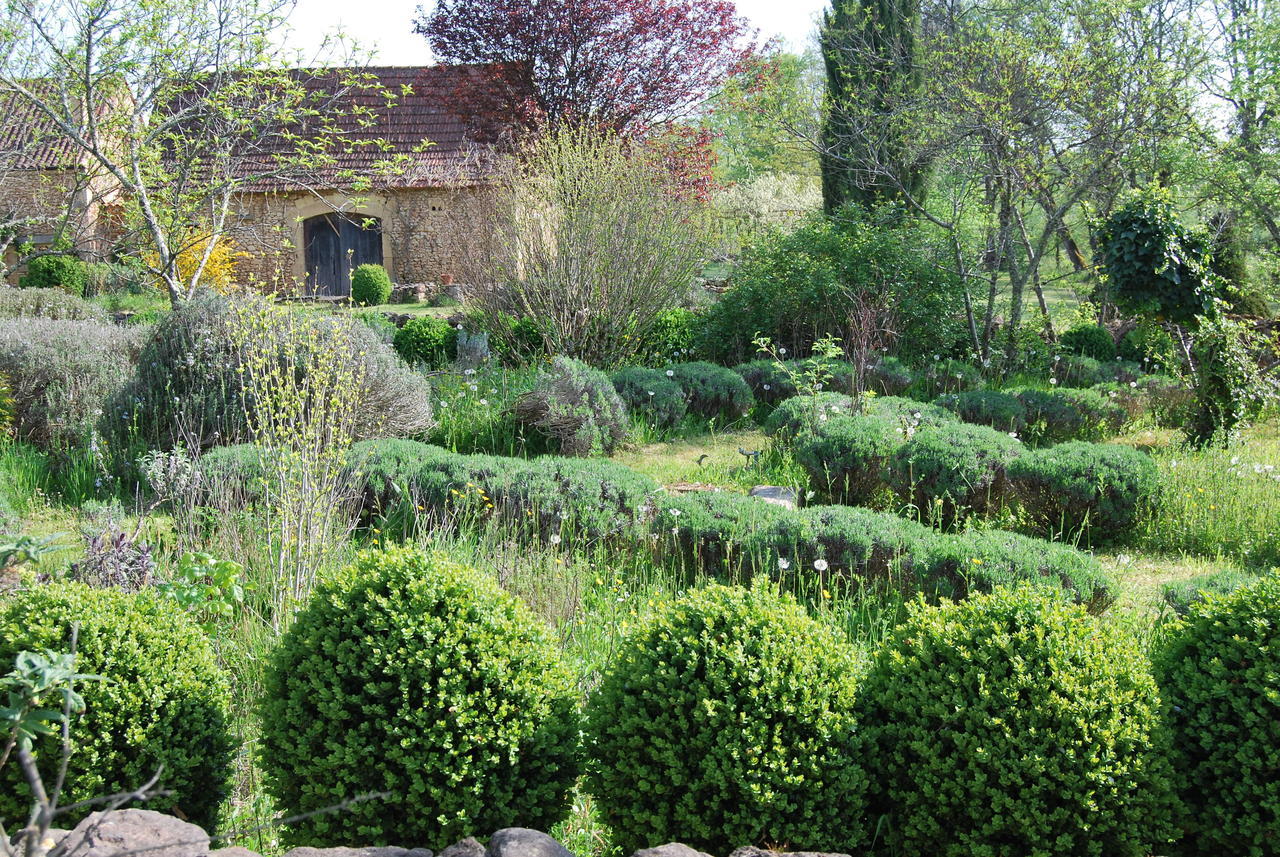 La Charmeraie Bed & Breakfast Saint-Cirq  Eksteriør bilde