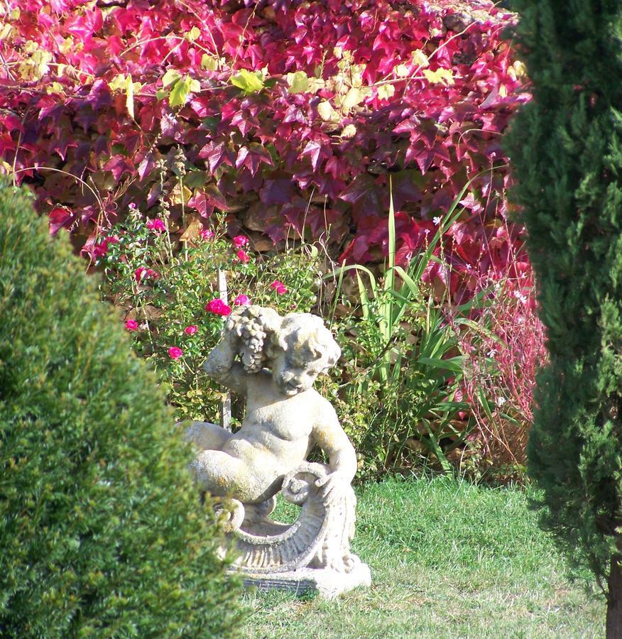 La Charmeraie Bed & Breakfast Saint-Cirq  Eksteriør bilde